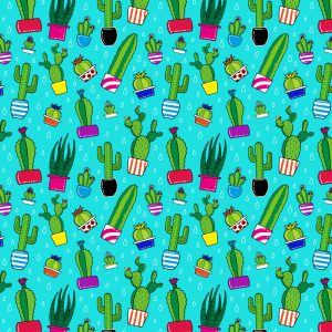 Costume Mare Uomo Cactus